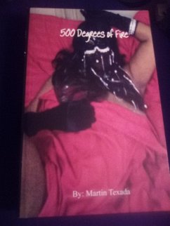 Cover 500 Degrees Of Fire (eBook, ePUB)