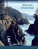 What the Drone Saw (eBook, ePUB)