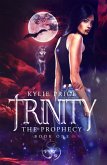 Trinity - The Prophecy (Trinity Series) (eBook, ePUB)