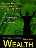 What You Need to Know When Pursuing Wealth (eBook, ePUB)