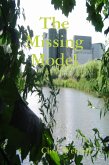 The Missing Model (eBook, ePUB)