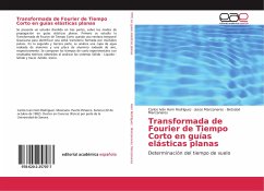 Transformada de Fourier de Tiempo Corto en guías elásticas planas - Ham Rodríguez, Carlos Iván; Manzanares, Jesús; Manzanares, Betsabé