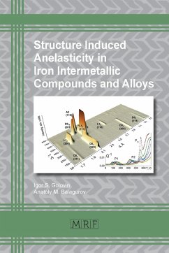Structure Induced Anelasticity in Iron Intermetallic Compounds and Alloys - Golovin, Igor S.; Balagurov, Anatoly M.