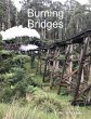 Burning Bridges (eBook, ePUB) - Bild 1