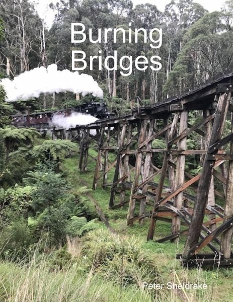 Burning Bridges (eBook, ePUB)
