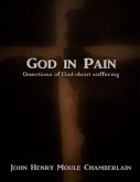 God In Pain: Questions of God About Suffering (eBook, ePUB)