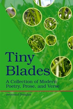 Cover Tiny Blades (eBook, ePUB)