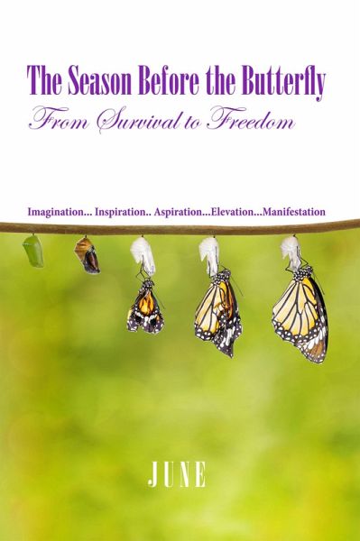 The Season Before the Butterfly (eBook, ePUB) The Season Before the Butterfly (eBook, ePUB)