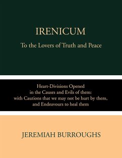 Cover Irenicum (eBook, ePUB)