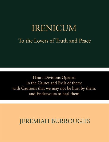 Irenicum (eBook, ePUB)