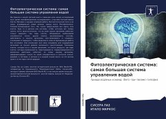 Fitoälektricheskaq sistema: samaq bol'shaq sistema uprawleniq wodoj - PAZ, CISERA;MARKOS, ITALO