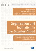 Organisation und Institution in der Sozialen Arbeit