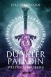 Dunkler Paladin - Bild 1