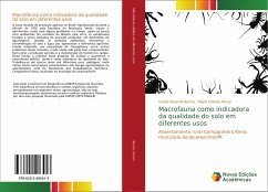 Macrofauna como indicadora da qualidade do solo em diferentes usos - Barros, Carlos Eduardo;Perusi, Maria Cristina