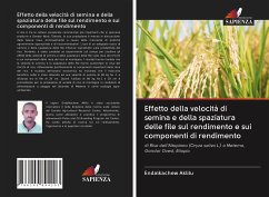 Effetto della velocità di semina e della spaziatura delle file sul rendimento e sui componenti di rendimento - Aklilu, Endalkachew