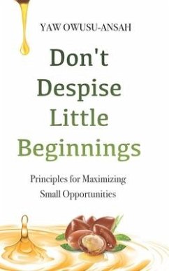 Cover Don't Despise Little Beginnings: Principles for Maximizing Small Opportunities