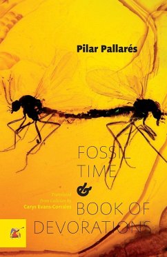 Fossil Time and Book of Devorations - Pallarés, Pilar