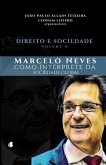 Direito e Sociedade, volume 4: Marcelo Neves como intérprete da sociedade global
