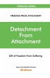 Detachment From Attachment - Gift Of... - Bild 1