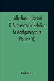 Collections Historical & Archaeological Relating To Montgomeryshire (Volume VI)