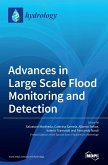 Advances in Large Scale Flood Monitoring and Detection