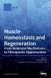 Muscle Homeostasis and Regeneration - Bild 1