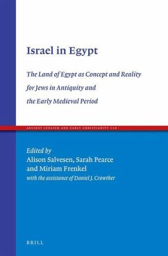 Israel in Egypt: The Land of Egypt as Concept and Reality for Jews in Antiquity and the Early Medieval Period