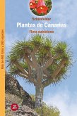 Plantas de Canarias (eBook, ePUB)