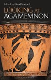 Looking at Agamemnon (eBook, ePUB)