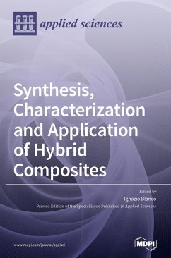 Cover Synthesis, Characterization and Application of Hybrid Composites