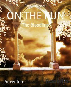 ON THE RUN (eBook, ePUB) - Nalumansi, Ritah