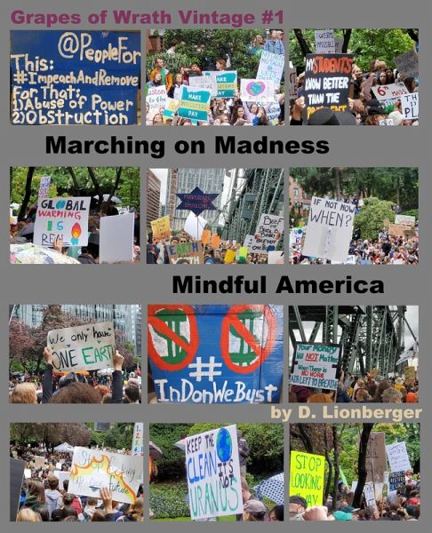 Marching On Madness, Mindful America (Grapes of Wrath Vintage, #1) (eBook, ePUB)