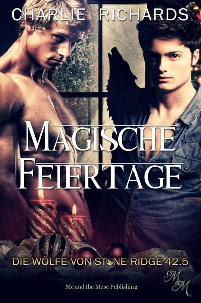 Magische Feiertage (eBook, ePUB)