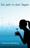 Ein Jahr in drei Tagen (eBook, ePUB)