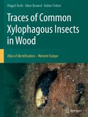 Traces of Common Xylophagous Insects in Wood