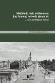 História do meio ambiente em São Paulo no início do século XX a partir de periódicos médicos (eBook, ePUB)
