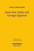 Know-how-Schutz und Geistiges Eigentum (eBook, PDF)
