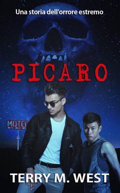 Cover Picaro (eBook, ePUB)