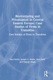 Restructuring and Privatization in Central Eastern Europe (eBook, PDF)