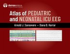 Atlas of Pediatric and Neonatal ICU EEG (eBook, ePUB)