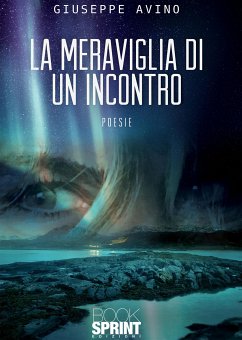 La Meraviglia di un incontro (eBook, ePUB) - Avino, Giuseppe