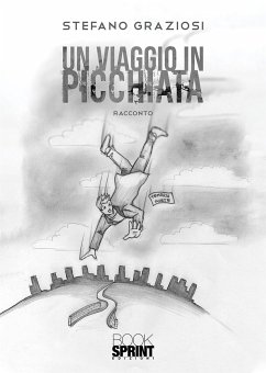 Un viaggio in picchiata (eBook, ePUB) - Graziosi, Stefano