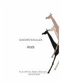 Ateb (eBook, ePUB)