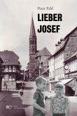 Lieber Josef (eBook, ePUB)