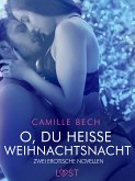 O, du heiße Weihnachtsnacht – Zwei erotische Novellen (eBook, ePUB)