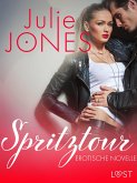 Spritztour - Erotische Novelle (eBook, ePUB)