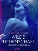 Wilde Leidenschaft – Drei erotische Novellen (eBook, ePUB)