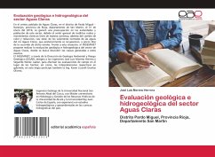 Evaluación geológica e hidrogeológica del sector Aguas Claras