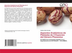 Aspectos Anatómicos de Plántulas de 3 Especies del Género Phaseolus - Vélez Escobar, Catalina