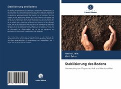 Stabilisierung des Bodens - Jain, Anshul;Sahu, Kirti